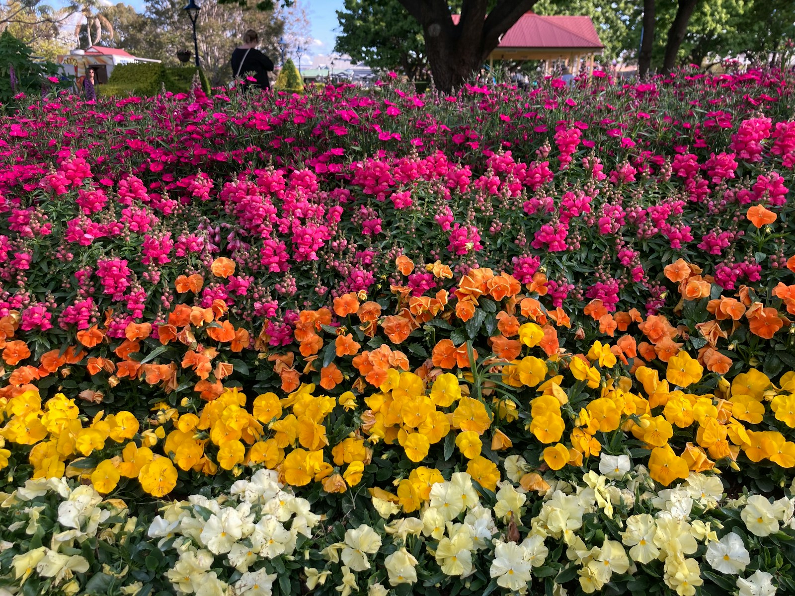 Toowoomba skyline, Australia for Tel IT local business services